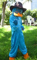 perry_the_platypus_cosplay_by_utukki_girl_d4apd7h-fullview.jpg